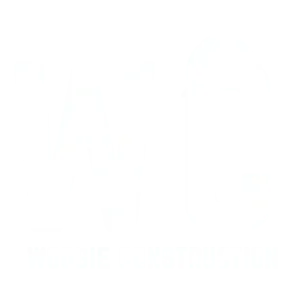 Woogie Construction
